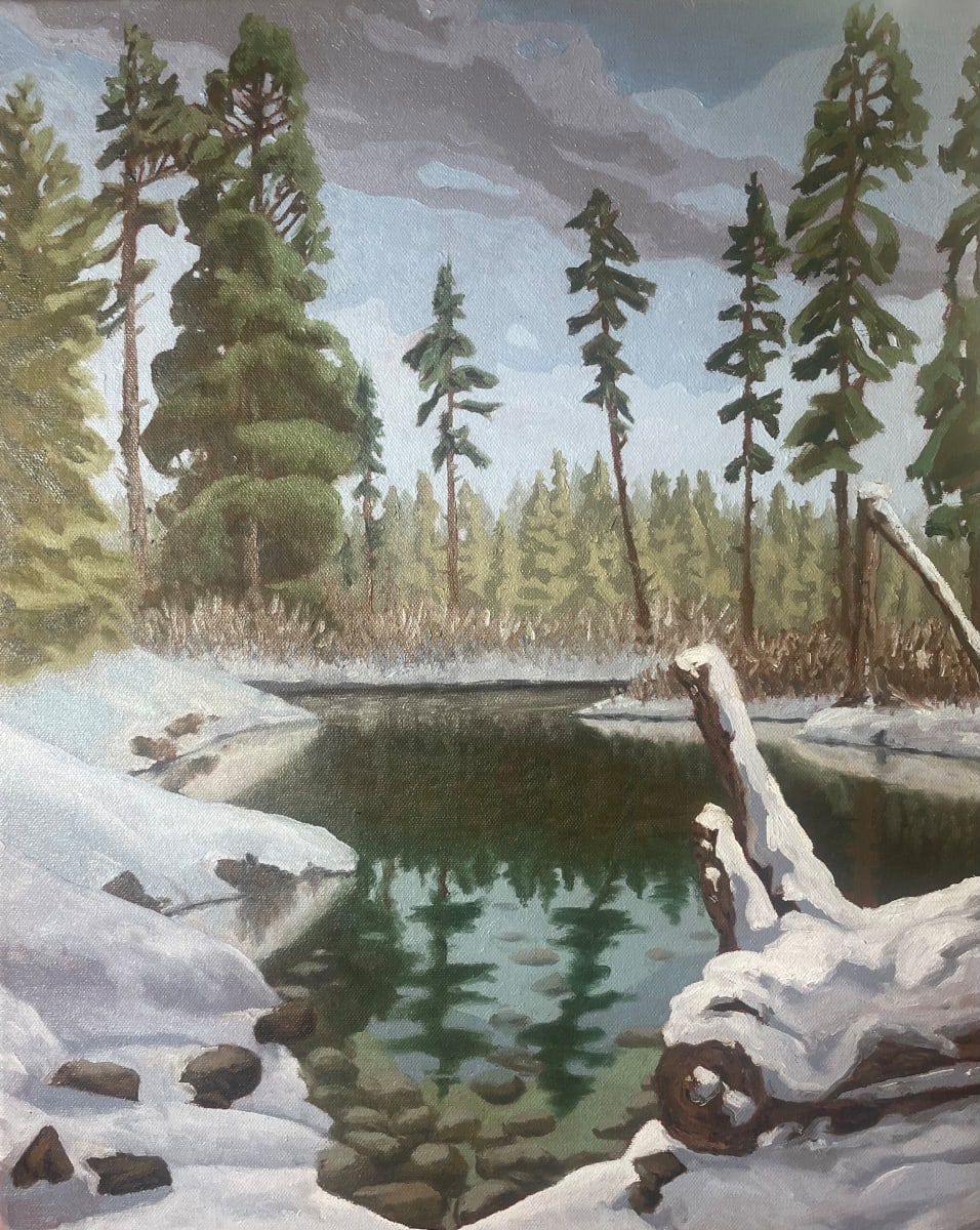 Taylor Creek - Winter