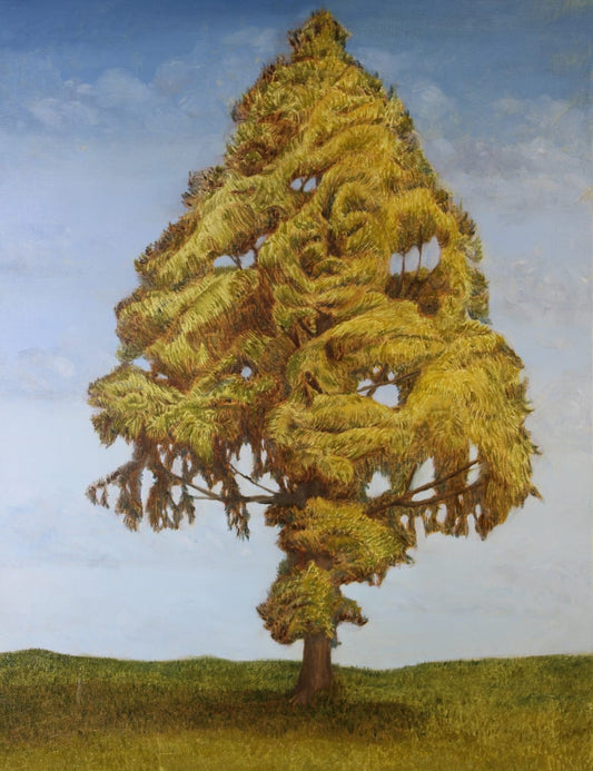 Dawn Redwood