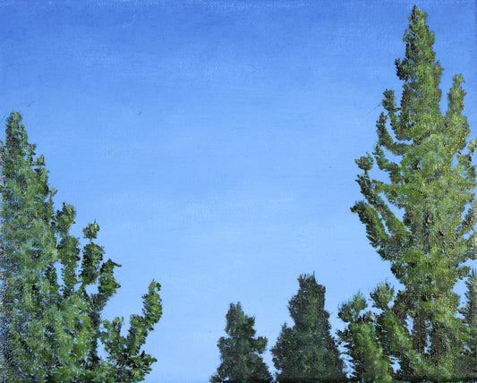 Four Lodgepole Pines